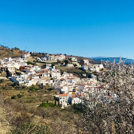 Casa Amigos Sorvilan - La Almendra Экстерьер фото