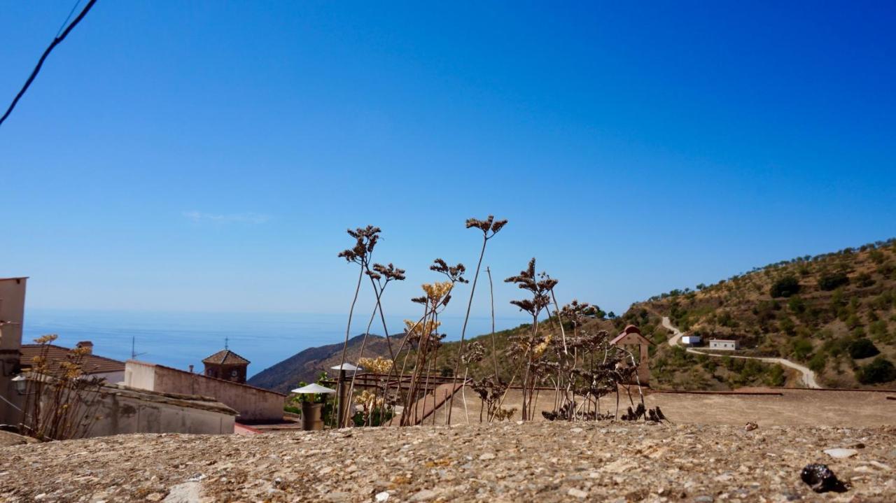 Casa Amigos Sorvilan - La Almendra Экстерьер фото