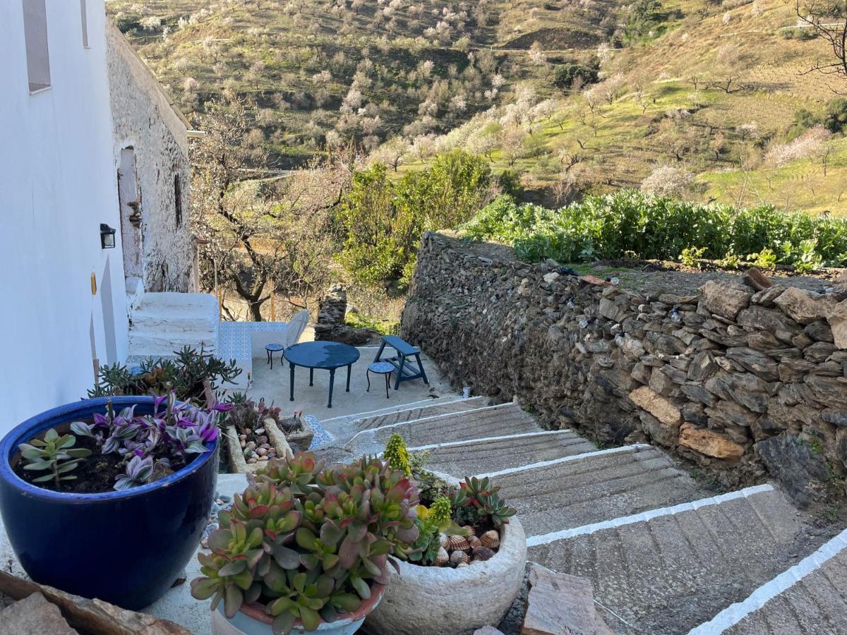 Casa Amigos Sorvilan - La Almendra Экстерьер фото