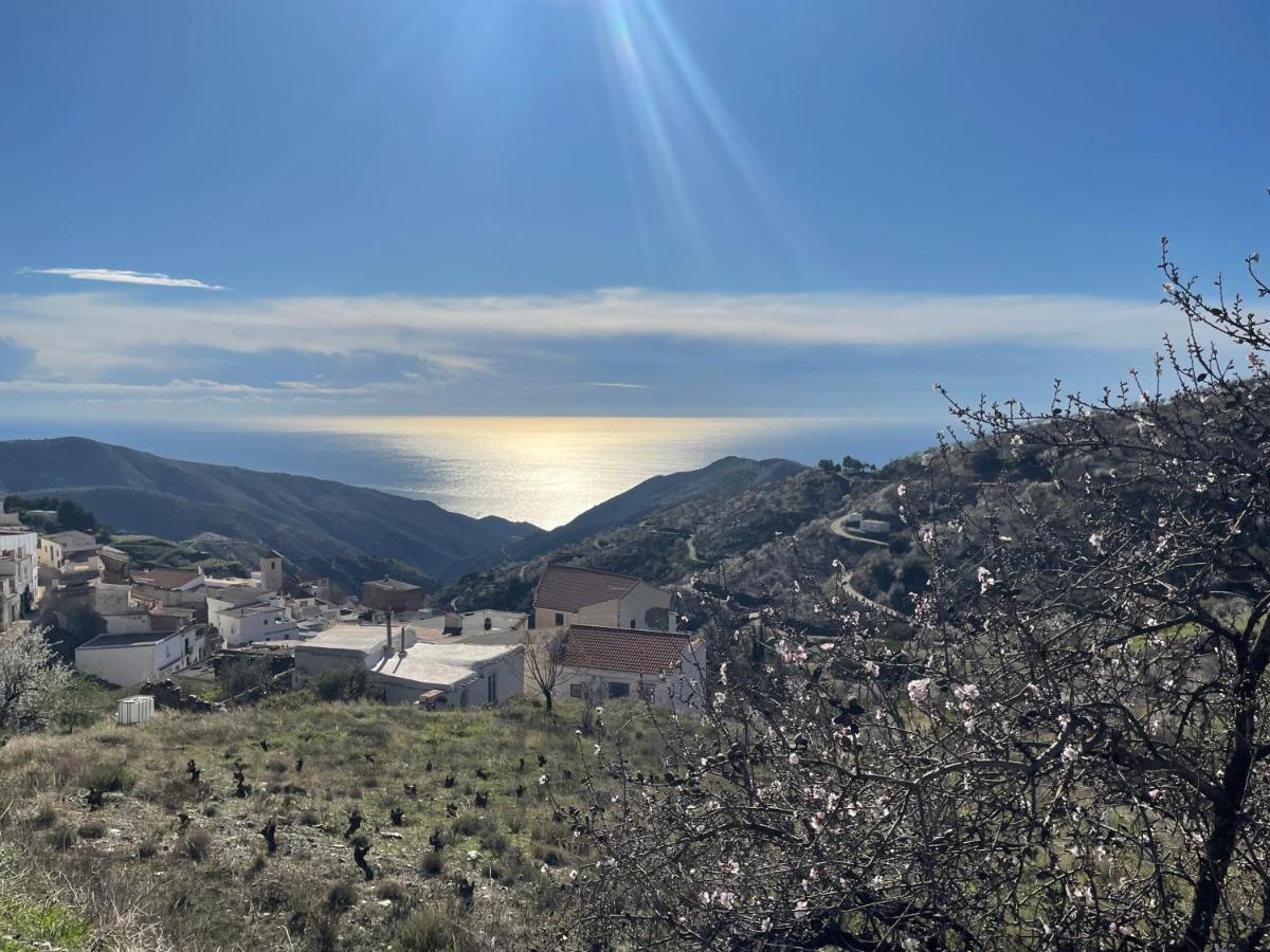 Casa Amigos Sorvilan - La Almendra Экстерьер фото