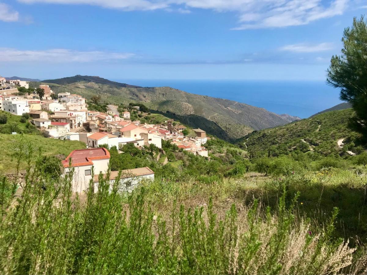 Casa Amigos Sorvilan - La Almendra Экстерьер фото
